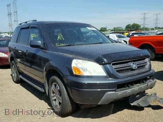 Фотография 5FNYF185X5B045950 - HONDA PILOT 2005