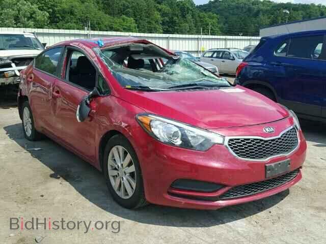Фотография KNAFX4A68E5206903 - KIA FORTE 2014