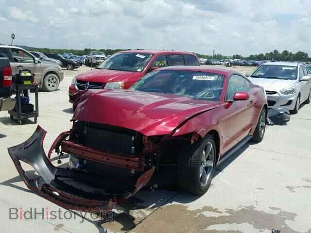 2016 FORD MUSTANG - VIN: 1FA6P8AM7G5310087 - Фото 2