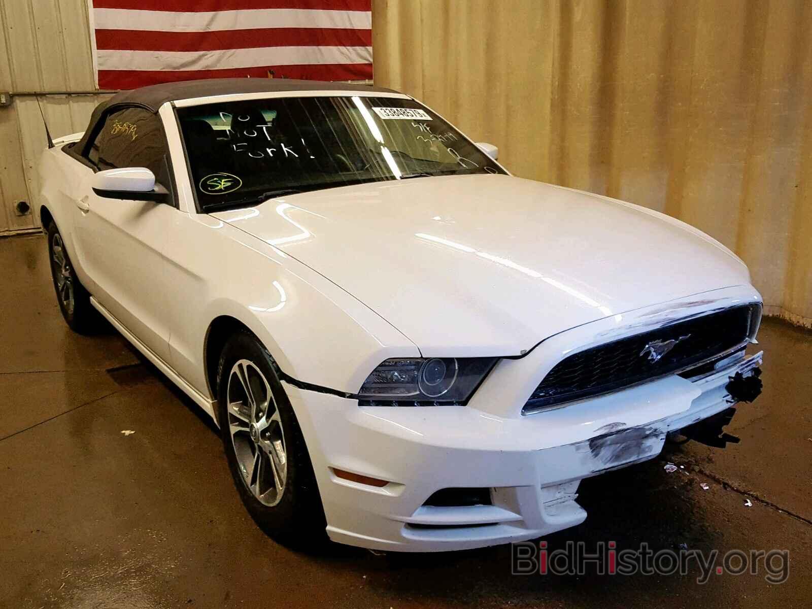 Photo 1ZVBP8EM9D5264841 - FORD MUSTANG 2013