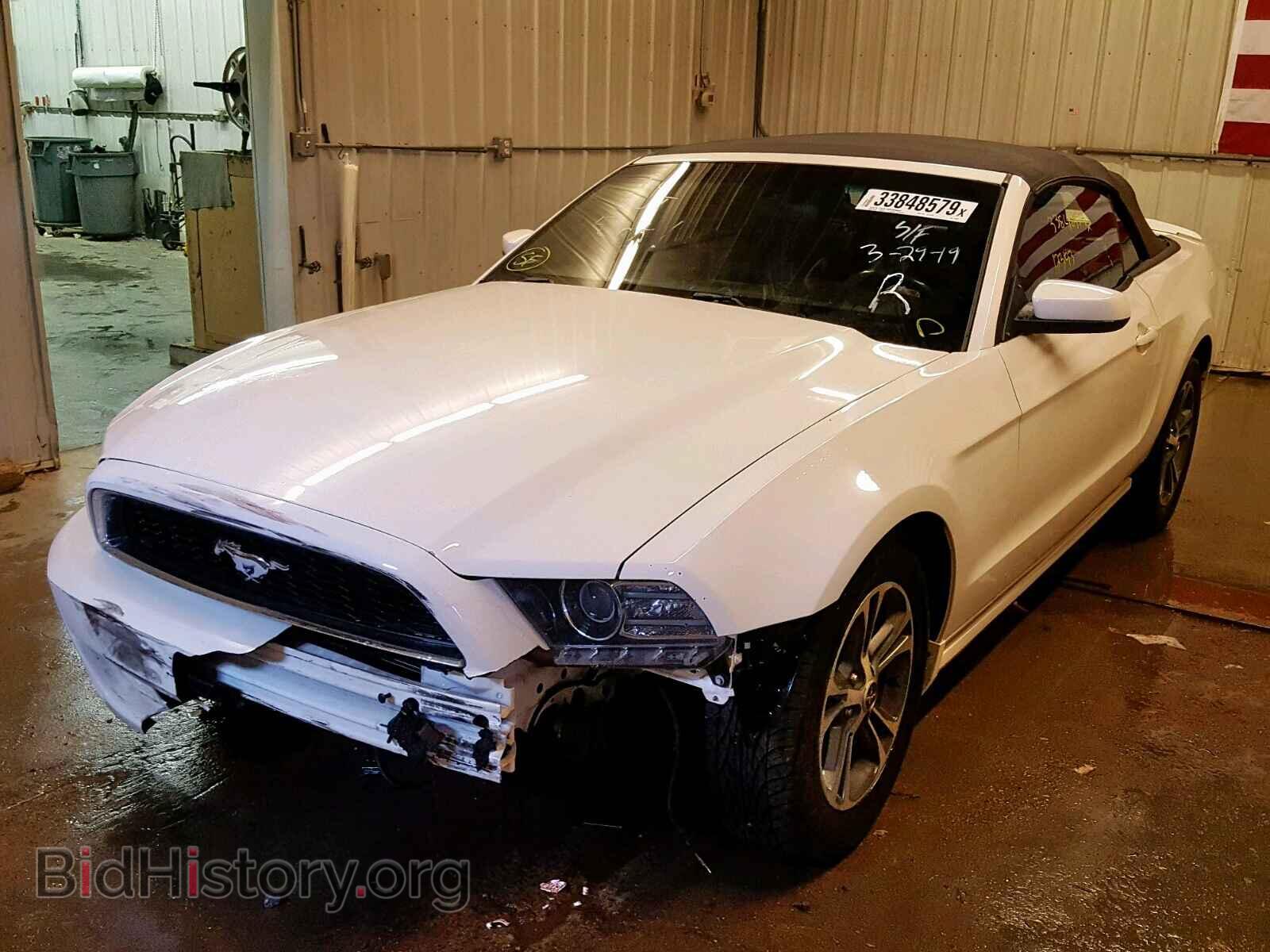 2013 FORD MUSTANG - VIN: 1ZVBP8EM9D5264841 - Фото 2
