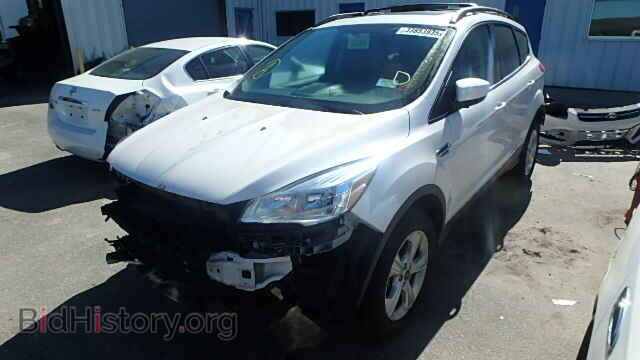 2013 FORD ESCAPE - VIN: 1FMCU9G90DUC82726 - Фото 2