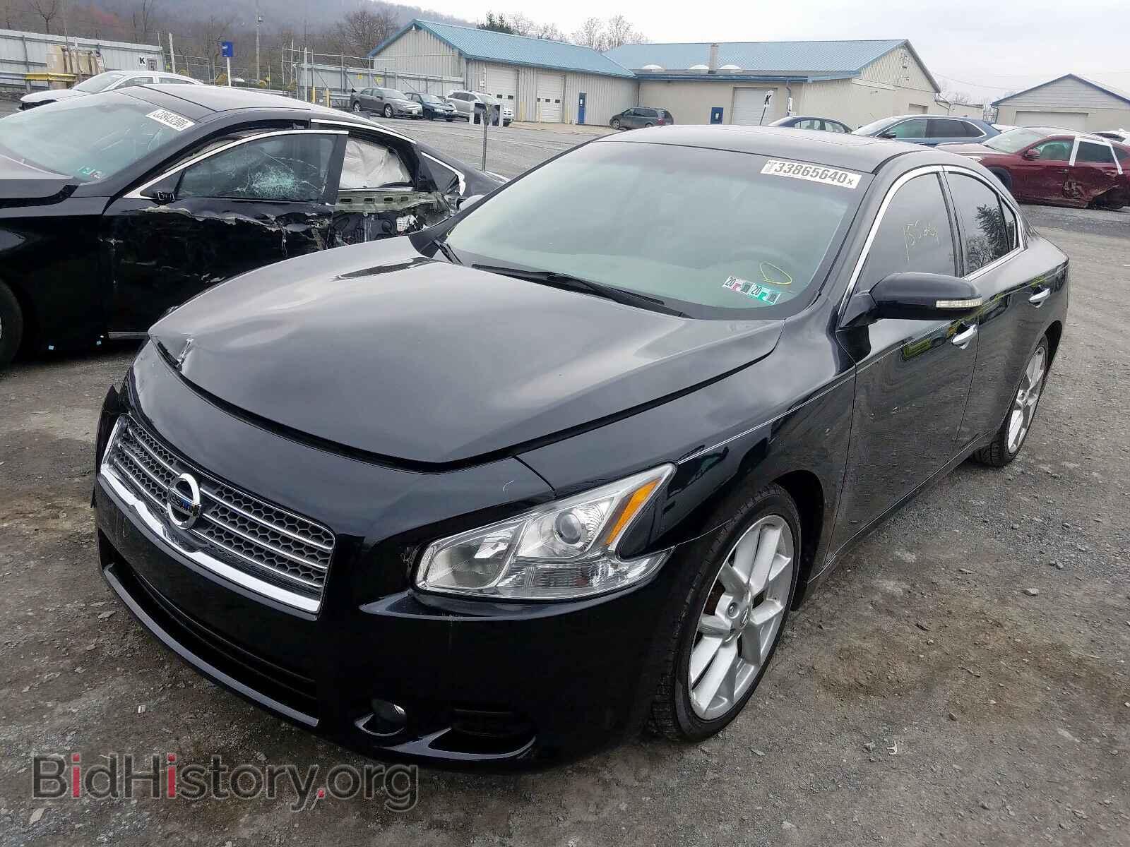 2009 NISSAN MAXIMA - VIN: 1N4AA51E09C812005 - Фото 2