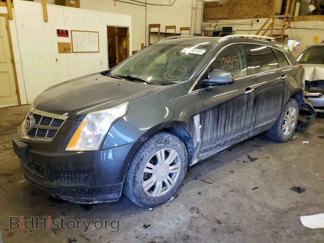 2010 CADILLAC SRX - VIN: 3GYFNDEY2AS504202 - Фото 2