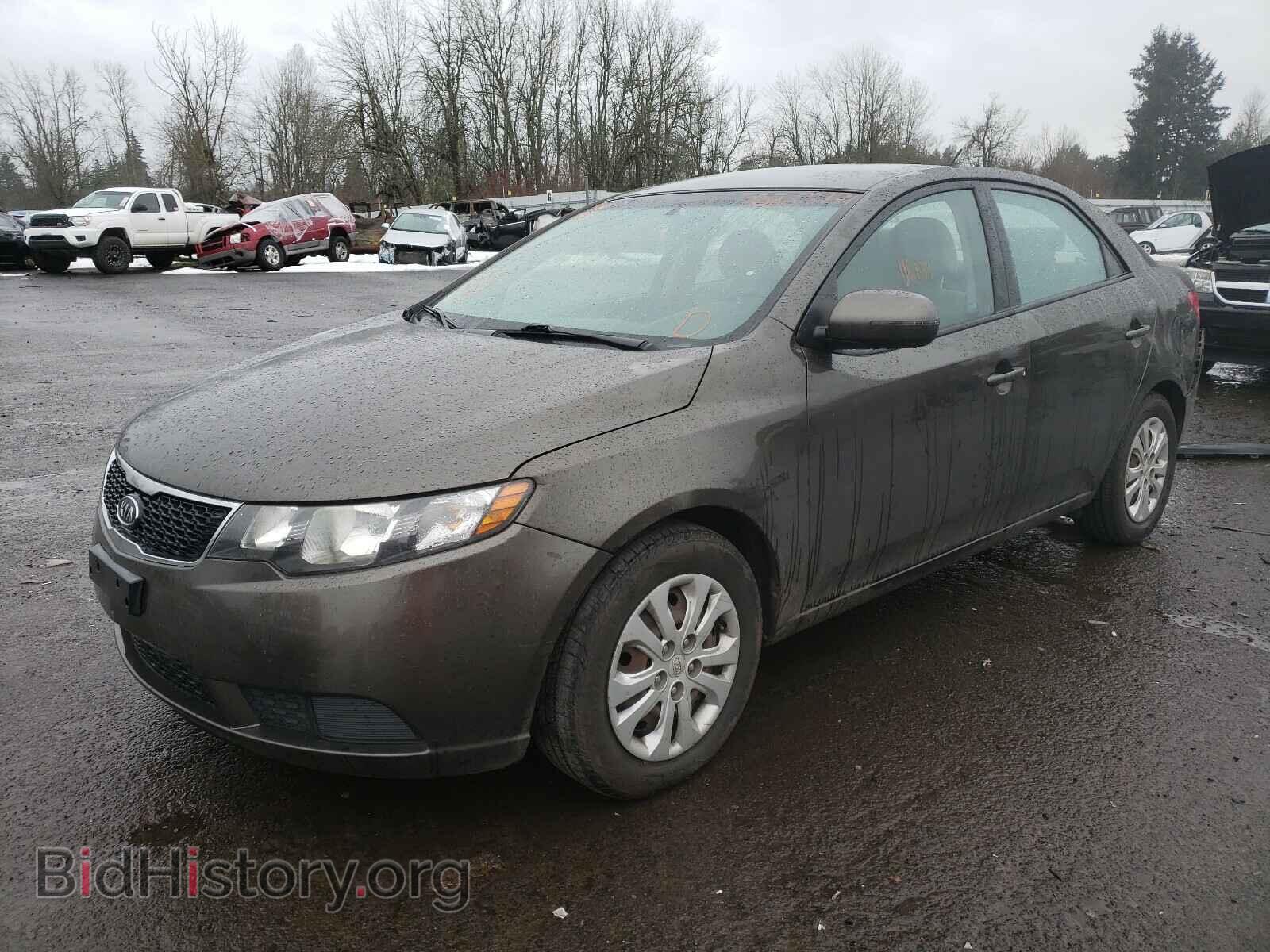 2011 KIA FORTE - VIN: KNAFU4A2XB5347456 - Фото 2