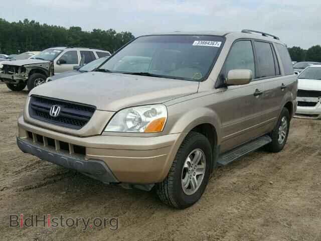 2005 HONDA PILOT - VIN: 5FNYF18525B019567 - Фото 2