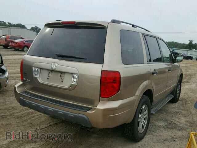 2005 HONDA PILOT - VIN: 5FNYF18525B019567 - Фото 4