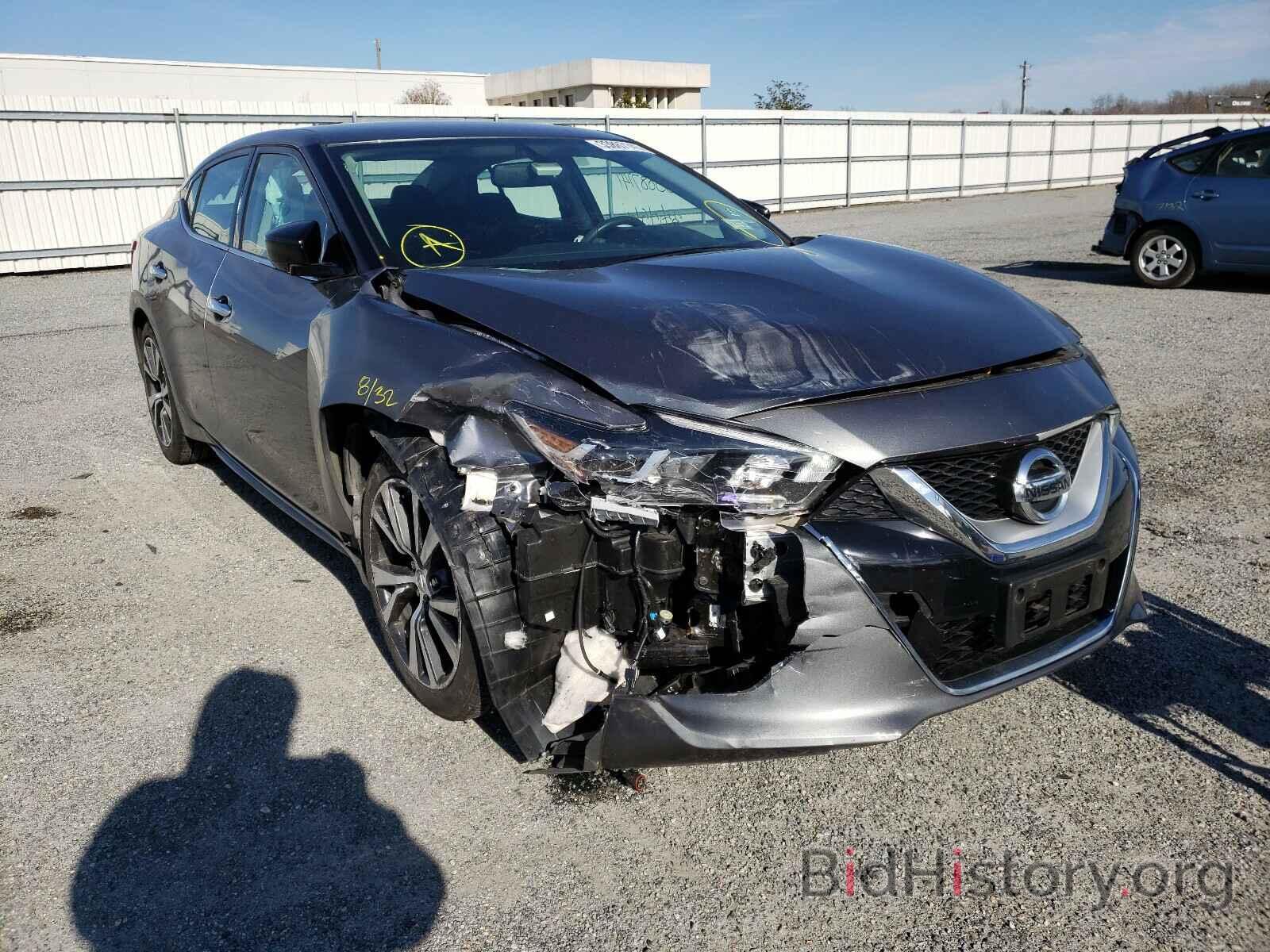 Photo 1N4AA6AP3HC421534 - NISSAN MAXIMA 2017