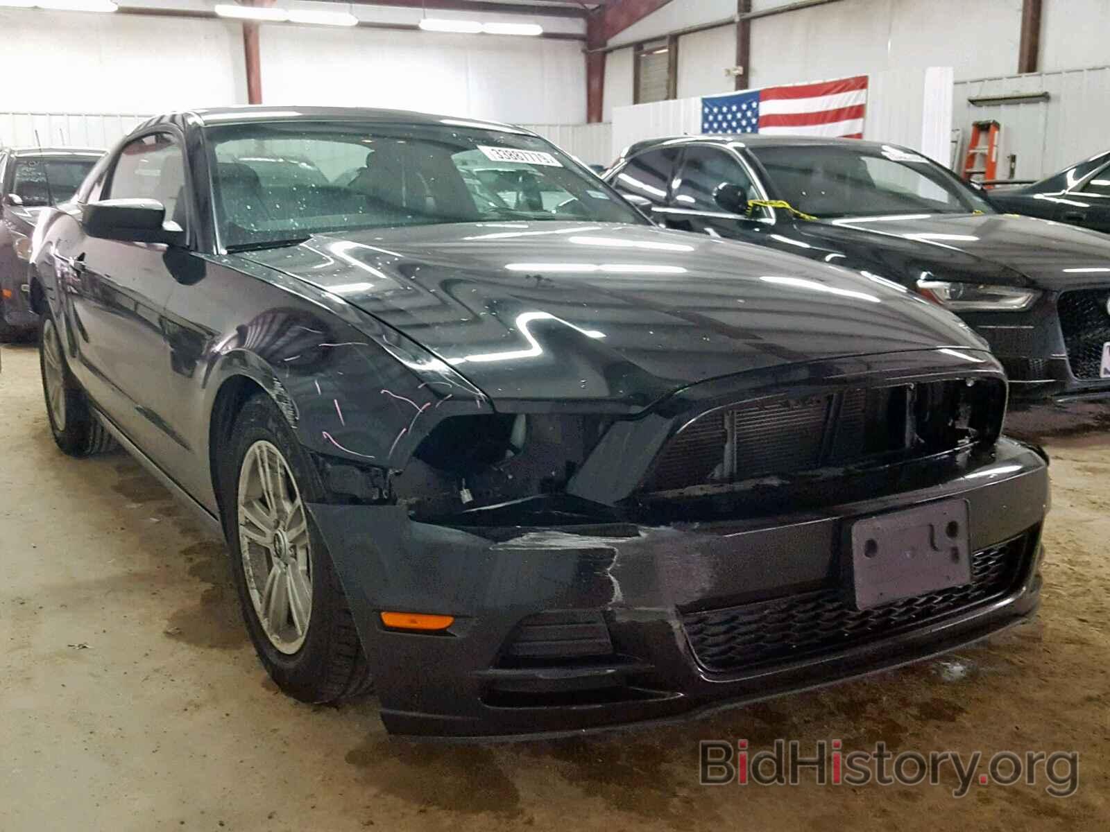 Photo 1ZVBP8AM0E5241049 - FORD MUSTANG 2014