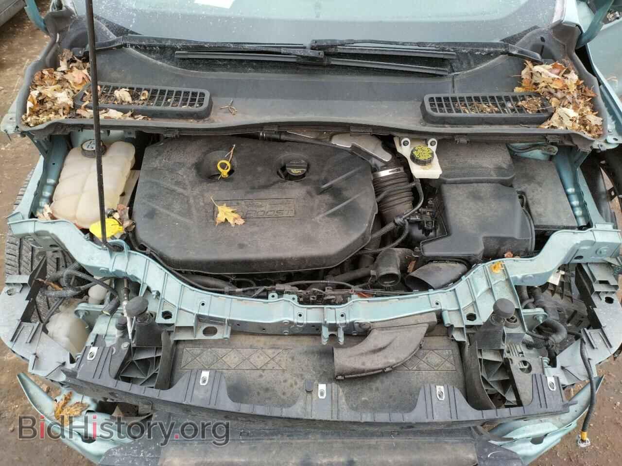 2013 FORD ESCAPE - VIN: 1FMCU0H99DUA70661 - Photo 7