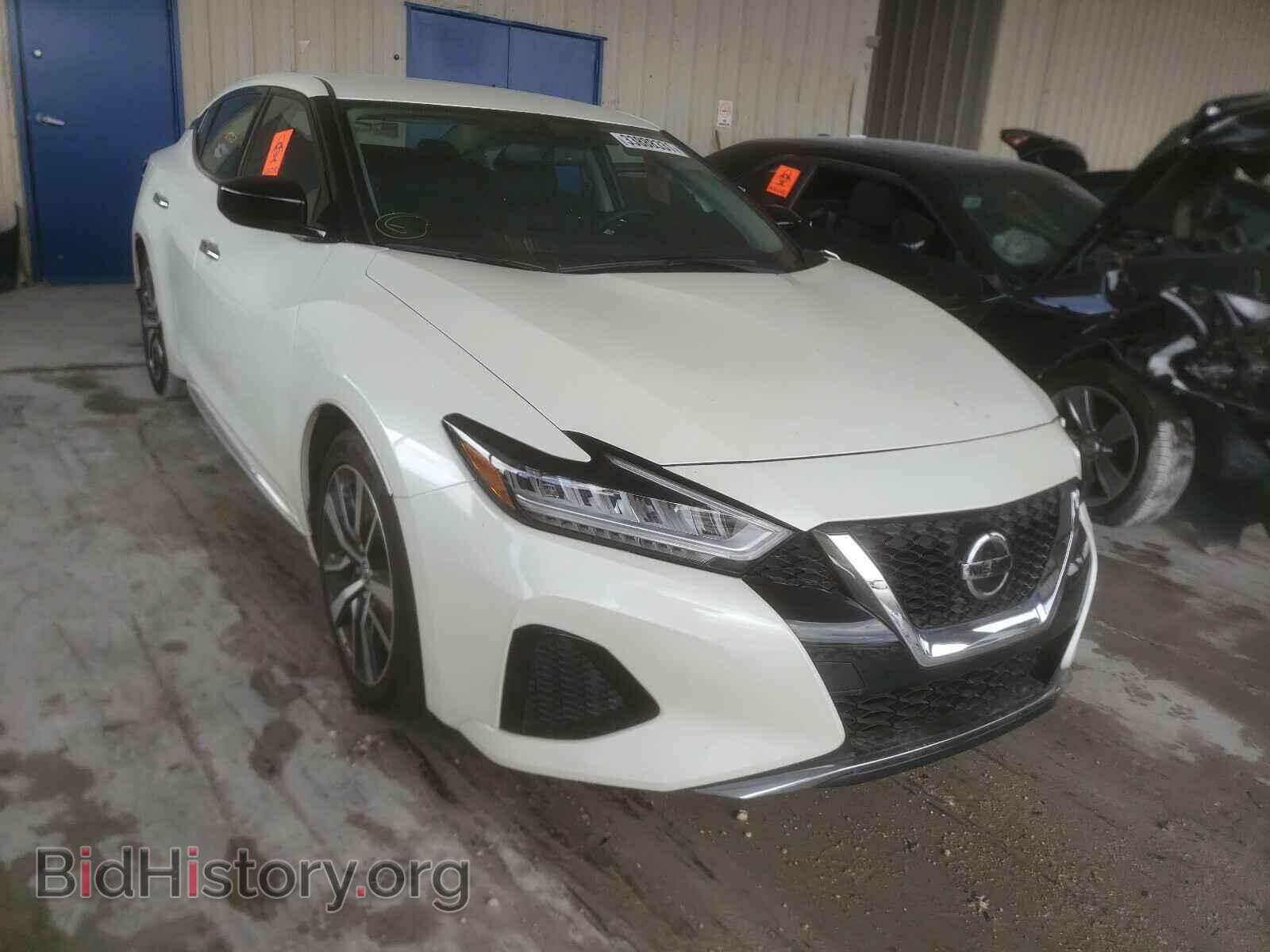 Photo 1N4AA6AV5KC379230 - NISSAN MAXIMA 2019