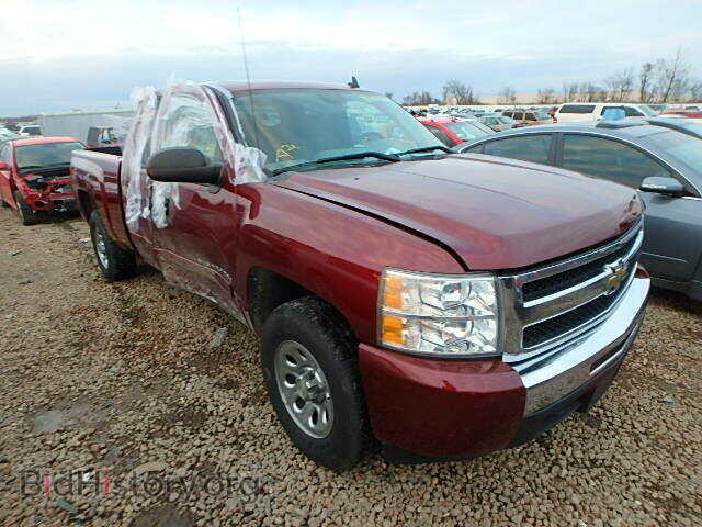 Photo 1GCEK19C69Z264349 - CHEVROLET SILVERADO 2009