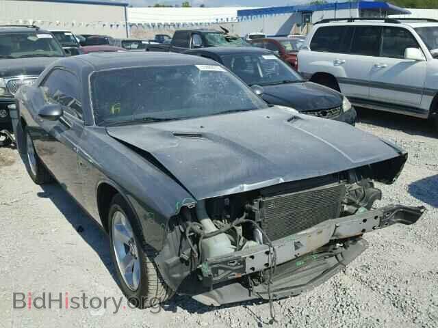 Photo 2B3CJ4DV7AH318431 - DODGE CHALLENGER 2010