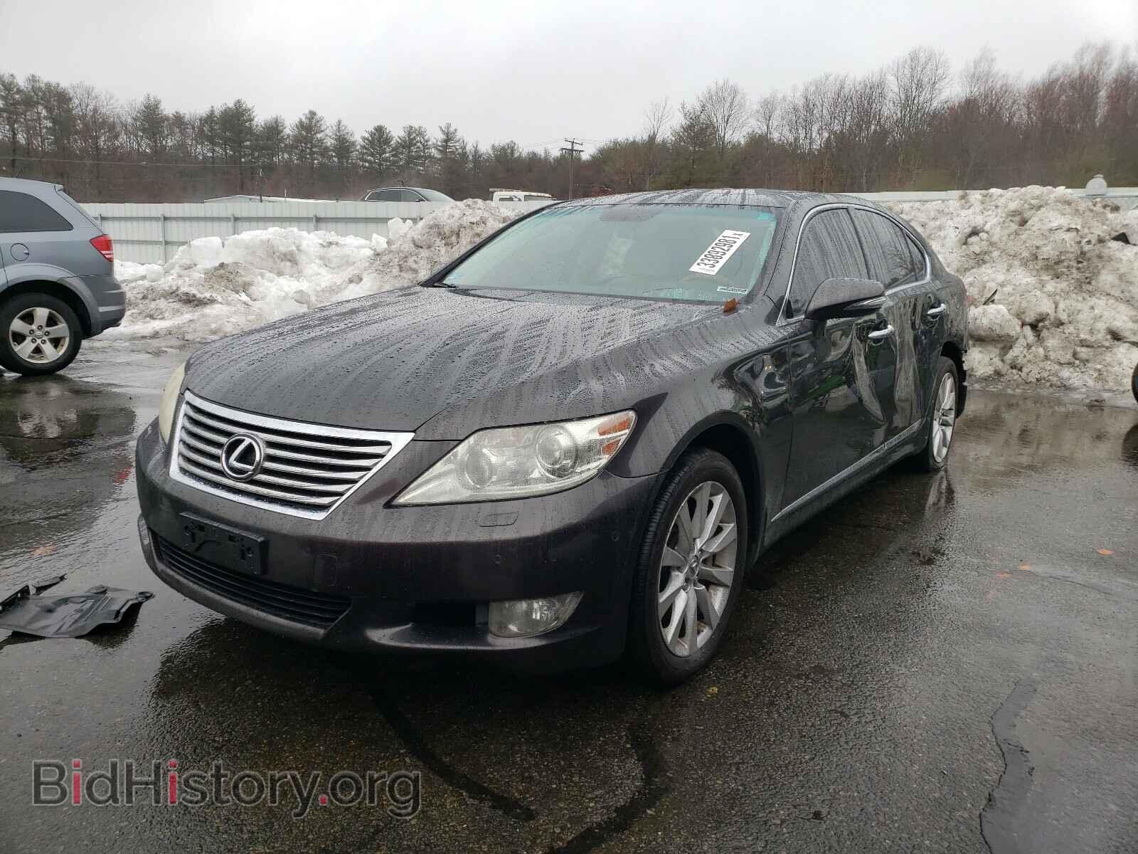 2010 LEXUS LS460 - VIN: JTHCL5EF4A5004943 - Фото 2