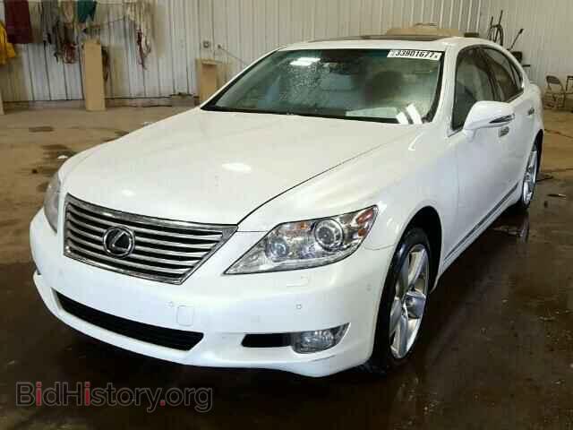 2010 LEXUS LS460 - VIN: JTHBL5EF1A5094810 - Фото 2