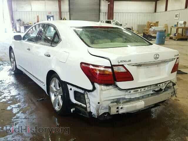 2010 LEXUS LS460 - VIN: JTHBL5EF1A5094810 - Фото 3