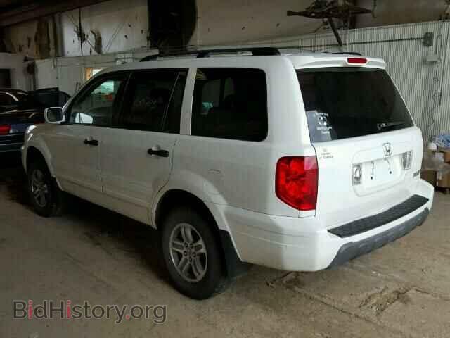 2005 HONDA PILOT - VIN: 2HKYF185X5H563297 - Фото 3