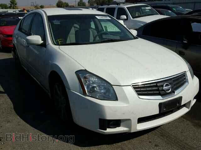 Photo 1N4BA41E58C803250 - NISSAN MAXIMA 2008