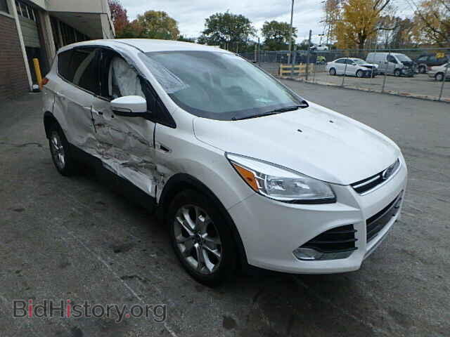 Фотография 1FMCU0HXXDUB02953 - FORD ESCAPE 2013