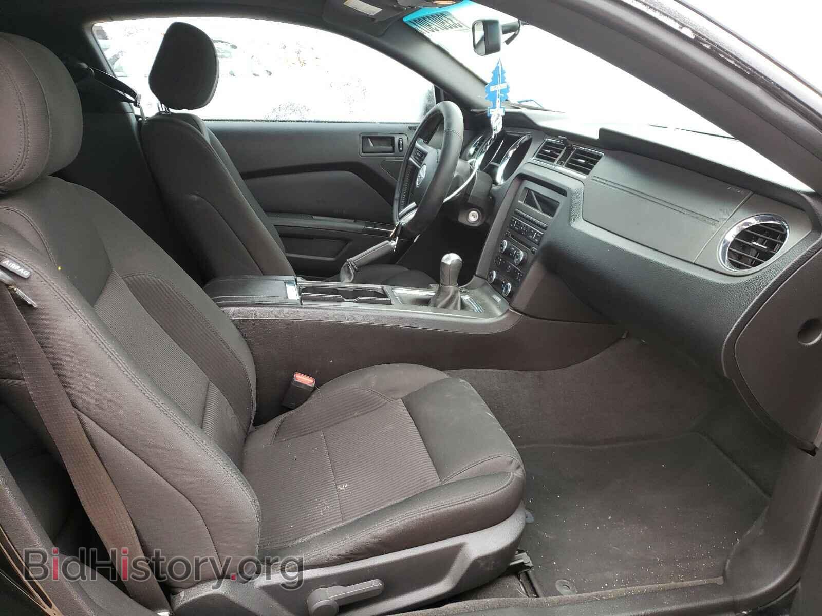 2013 FORD MUSTANG - VIN: 1ZVBP8CF5D5226527 - Фото 5