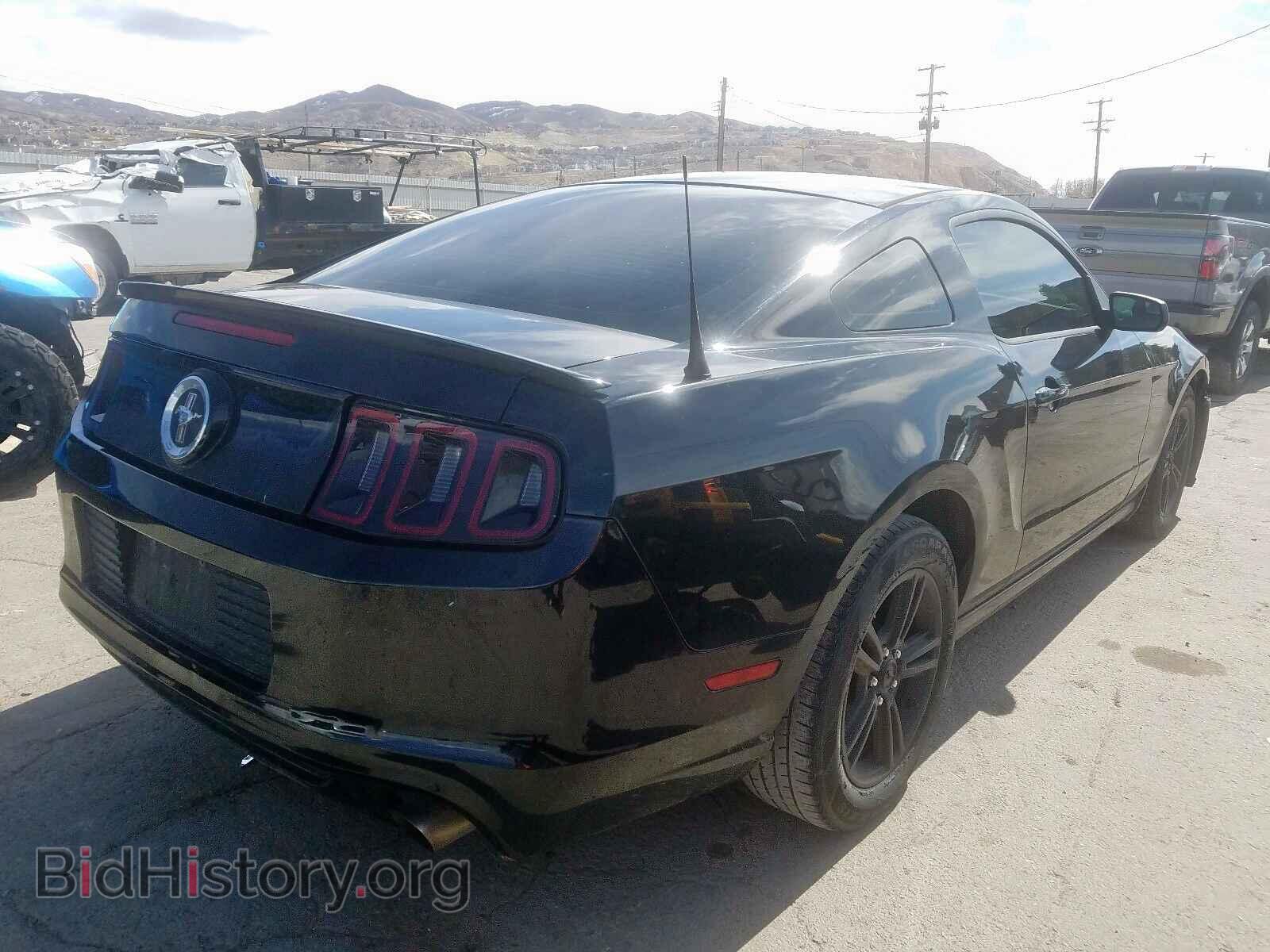 2013 FORD MUSTANG - VIN: 1ZVBP8AM4D5226827 - Фото 4