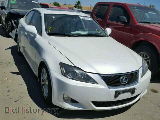 Фотография JTHBK262985053199 - LEXUS IS250 2008