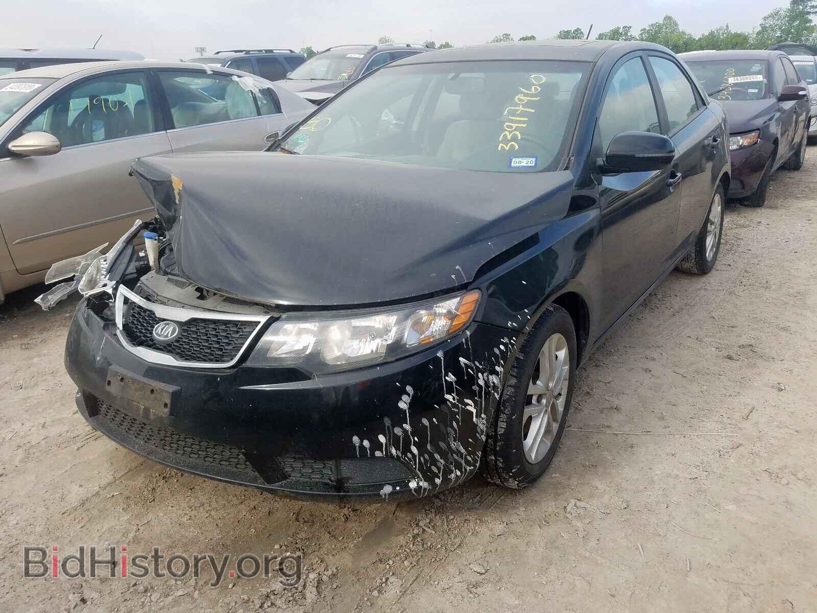 2012 KIA FORTE - VIN: KNAFU4A2XC5498542 - Фото 2