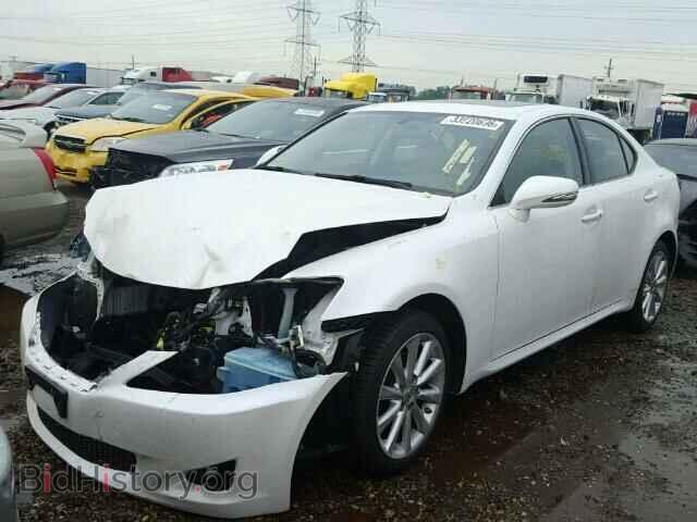 2009 LEXUS IS250 - VIN: JTHCK262195034894 - Фото 2