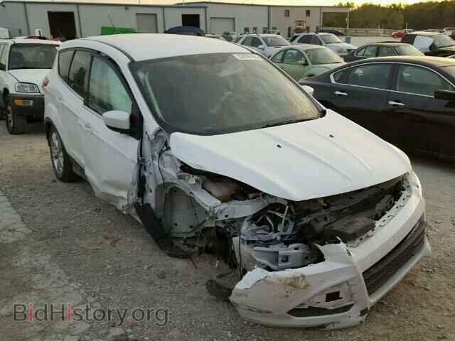 Photo 1FMCU9GX4EUC01677 - FORD ESCAPE 2014
