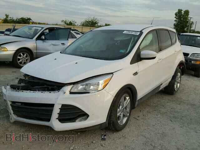 2014 FORD ESCAPE - VIN: 1FMCU9GX4EUC01677 - Photo 2