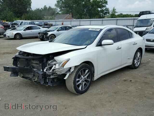 2009 NISSAN MAXIMA - VIN: 1N4AA51E89C829537 - Фото 2