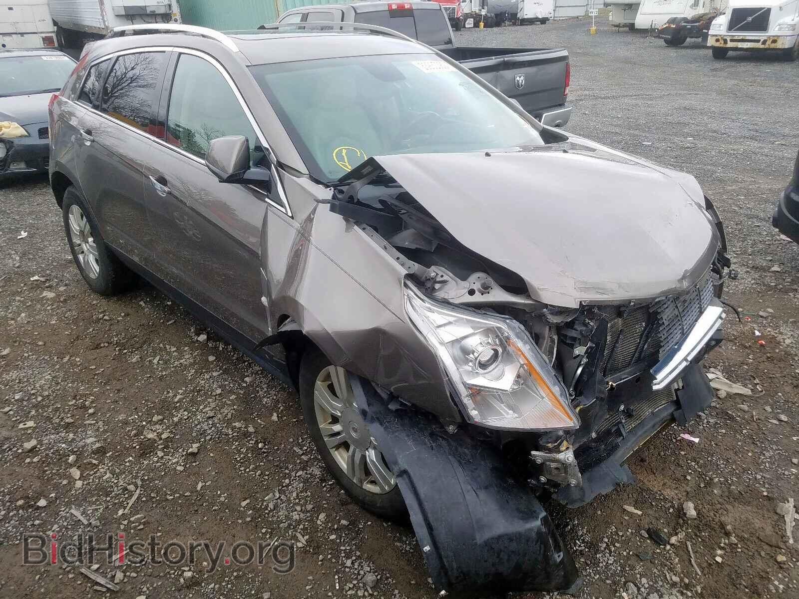 Photo 3GYFNDE34CS523809 - CADILLAC SRX 2012