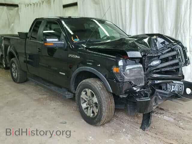Фотография 1FTFX1ET8DFB64646 - FORD F150 2013
