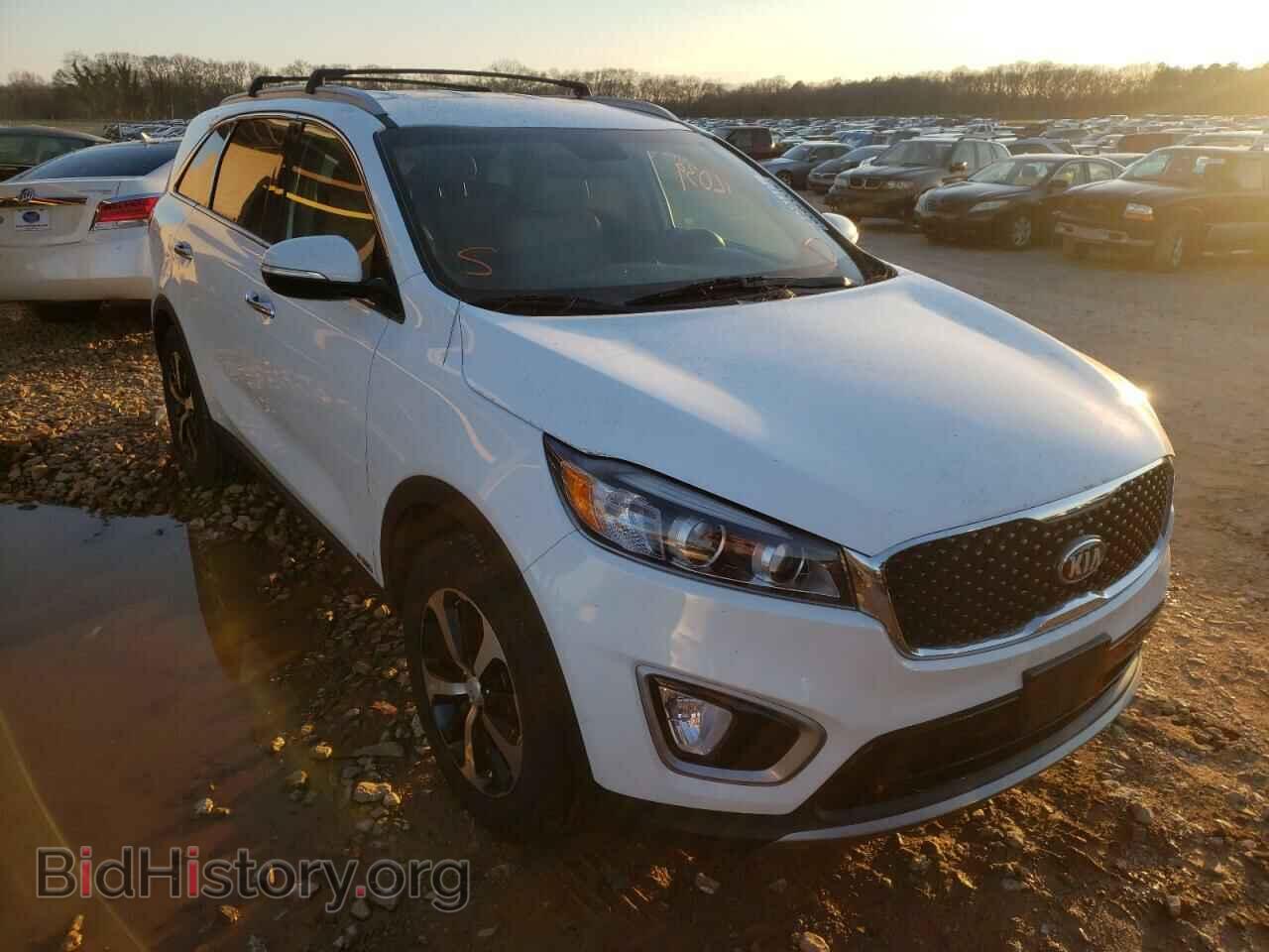 Photo 5XYPHDA14GG133337 - KIA SORENTO 2016