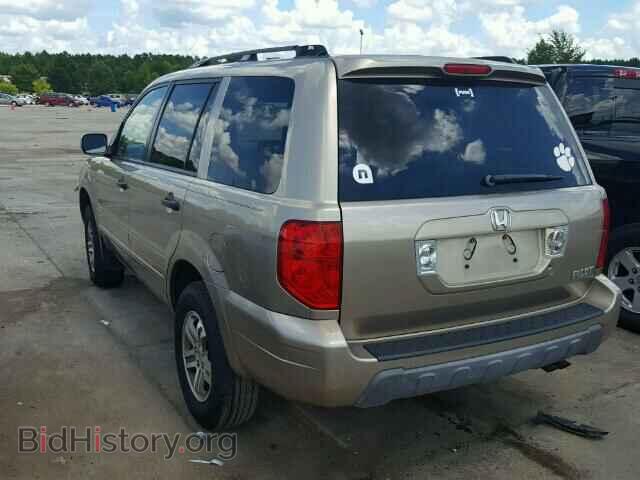 2005 HONDA PILOT - VIN: 5FNYF18655B006353 - Фото 3