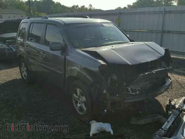 Фотография 5FNYF48629B024879 - HONDA PILOT 2009