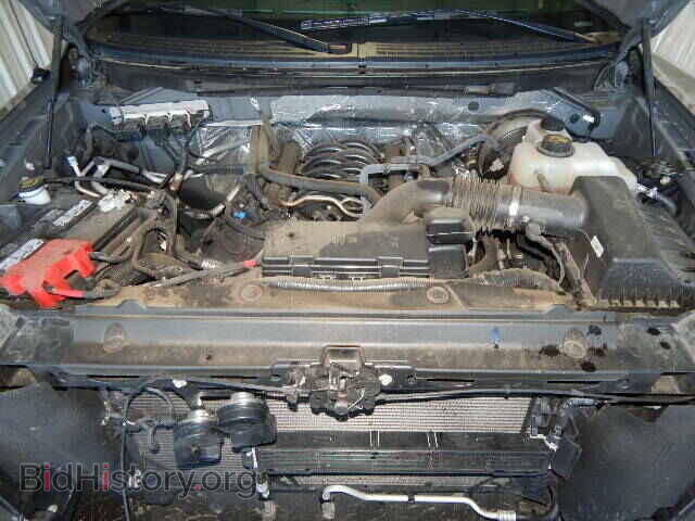 2013 FORD F150 - VIN: 1FTFW1CF1DFD90527 - Photo 7