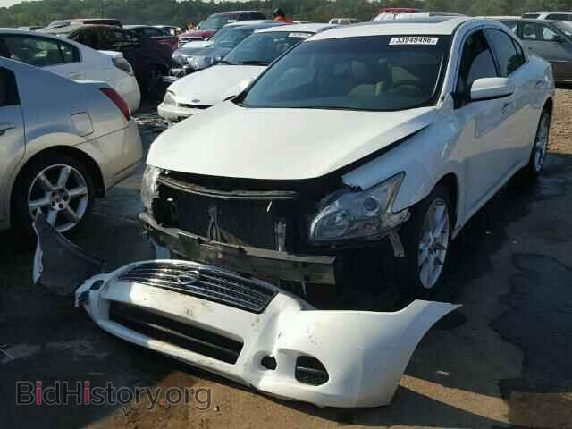 2011 NISSAN MAXIMA - VIN: 1N4AA5AP1BC868946 - Фото 2