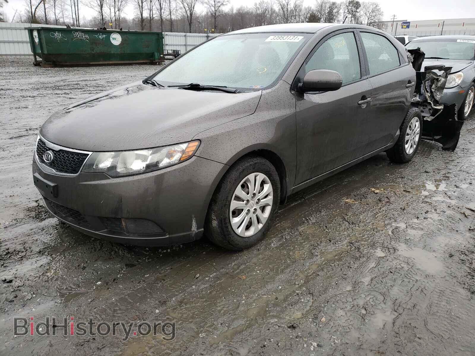 2011 KIA FORTE - VIN: KNAFU4A20B5445931 - Фото 2