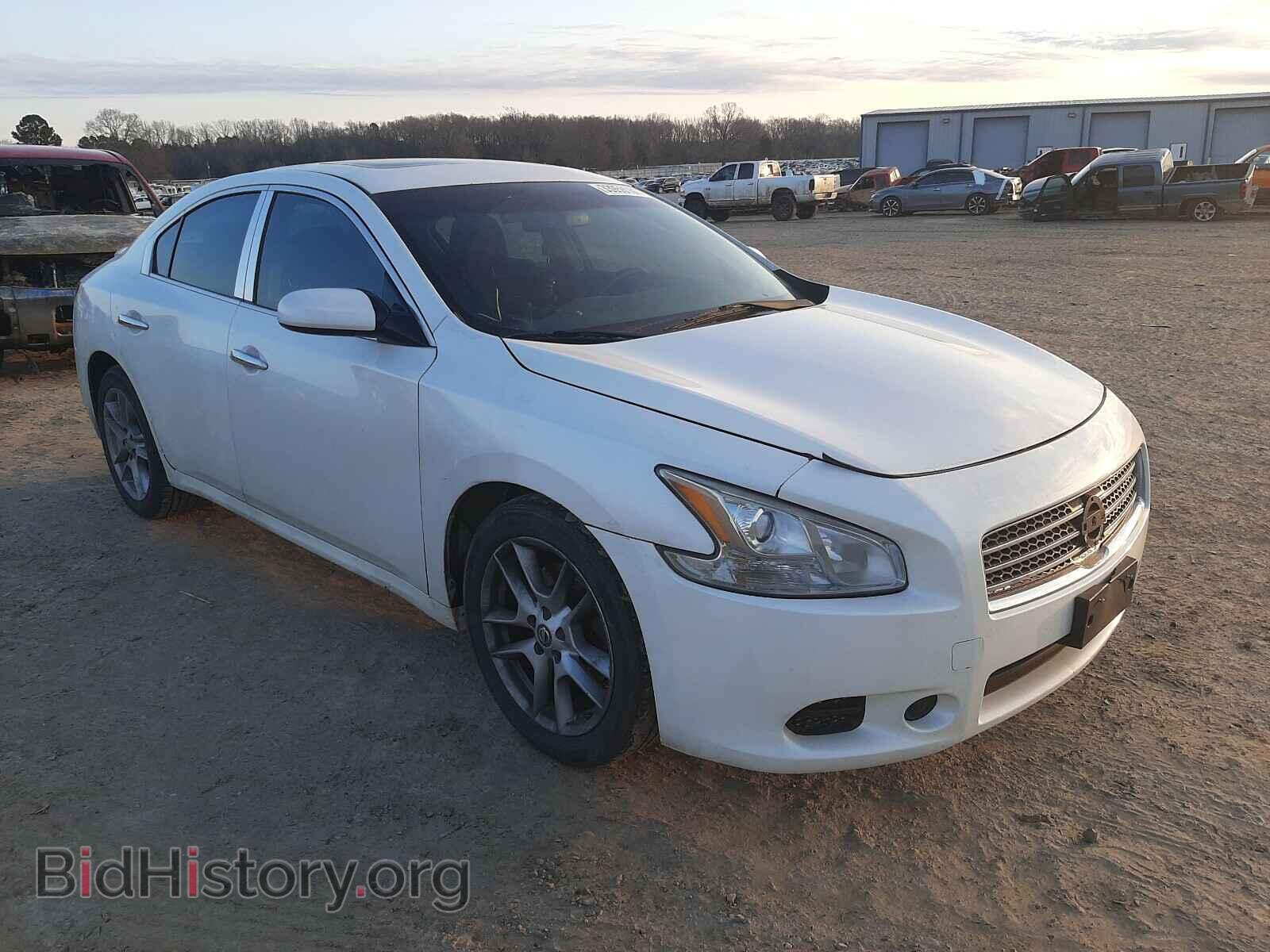 Фотография 1N4AA51E09C840029 - NISSAN MAXIMA 2009