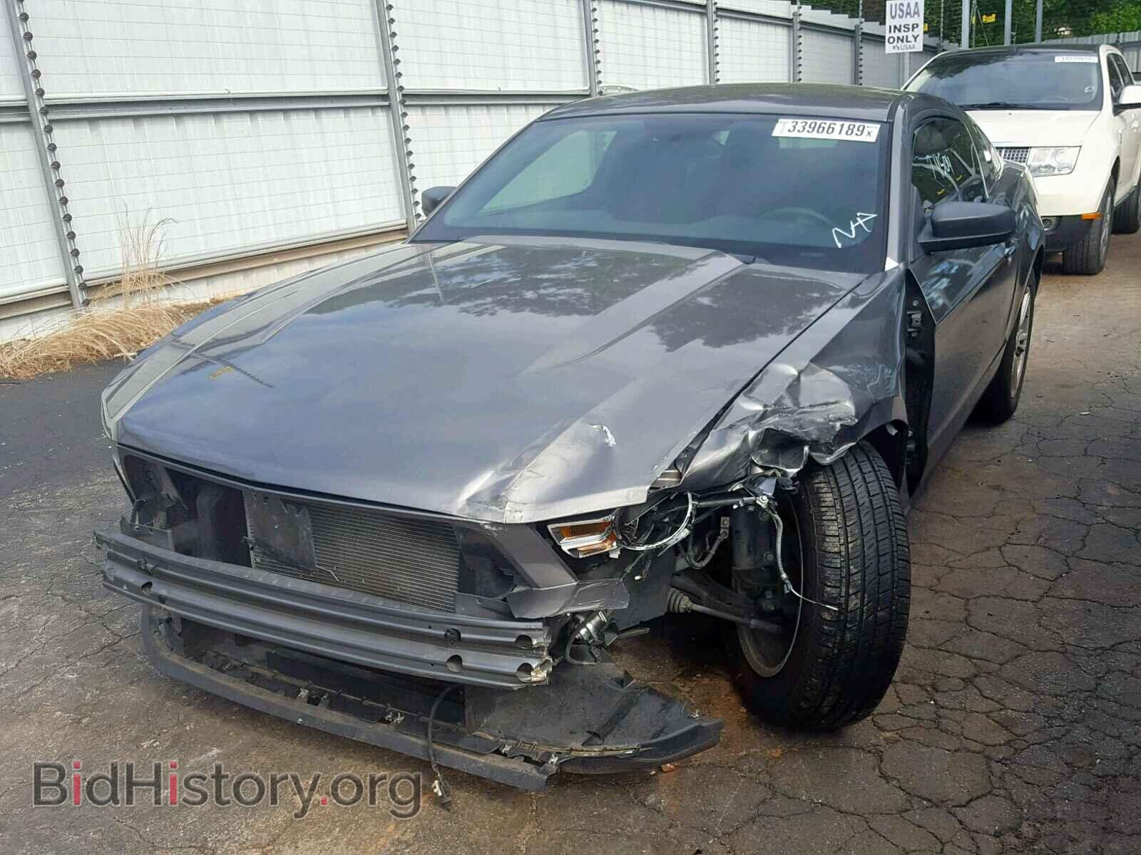 2012 FORD MUSTANG - VIN: 1ZVBP8AMXC5261841 - Фото 2