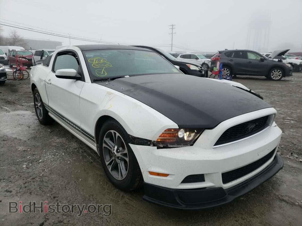 Photo 1ZVBP8AM0E5201411 - FORD MUSTANG 2014