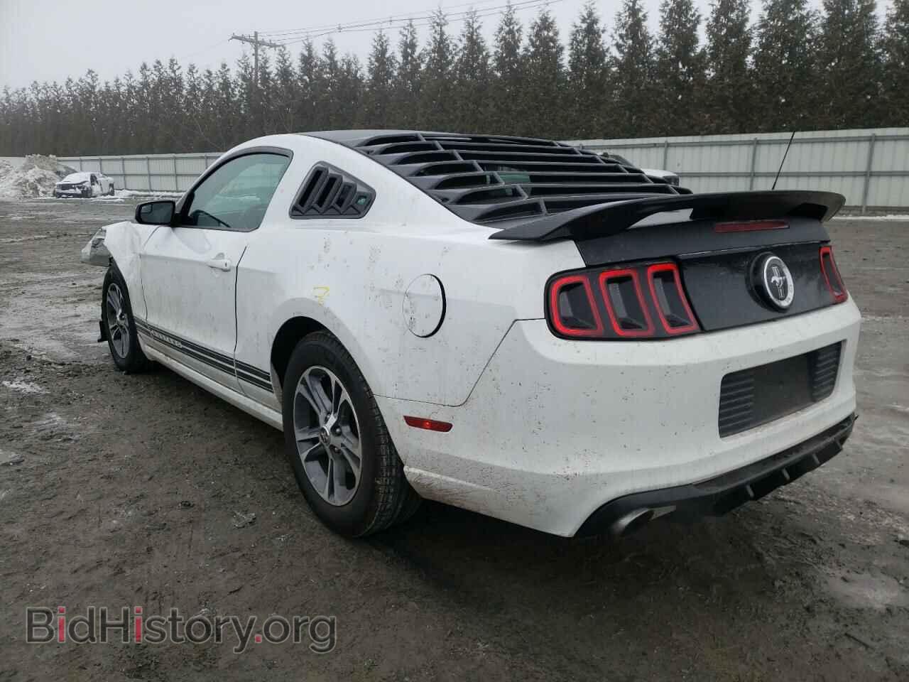 2014 FORD MUSTANG - VIN: 1ZVBP8AM0E5201411 - Фото 3