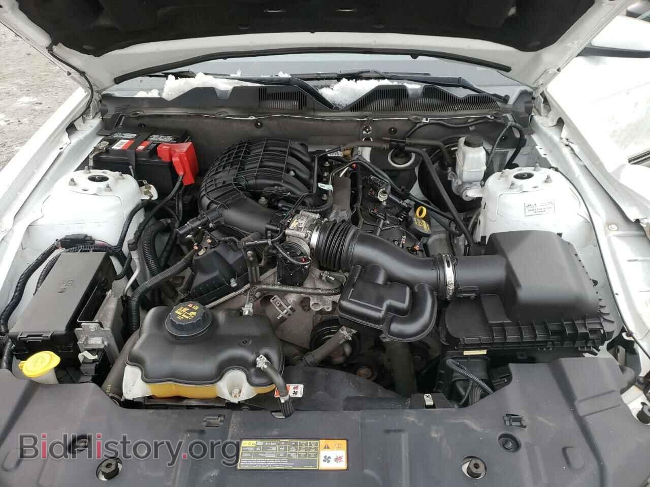 2014 FORD MUSTANG - VIN: 1ZVBP8AM0E5201411 - Фото 7