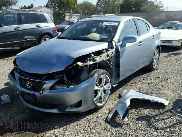 2010 LEXUS IS250 - VIN: JTHBF5C25A5116816 - Фото 2