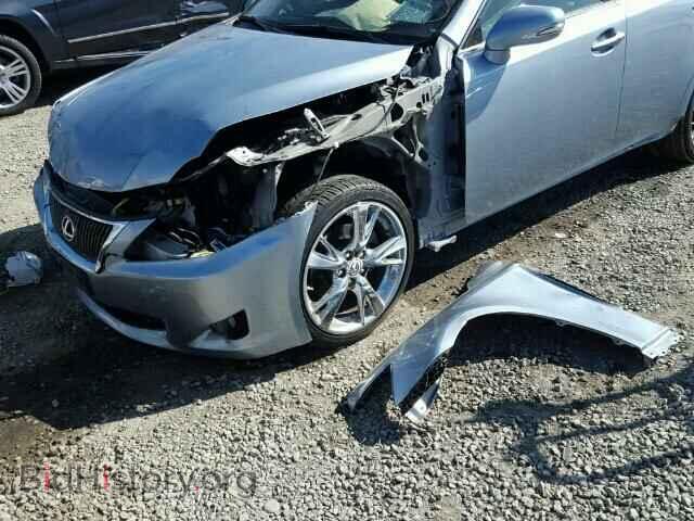 2010 LEXUS IS250 - VIN: JTHBF5C25A5116816 - Фото 10