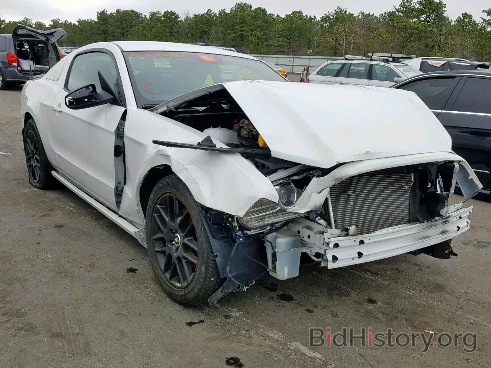 Photo 1ZVBP8AM7E5287736 - FORD MUSTANG 2014