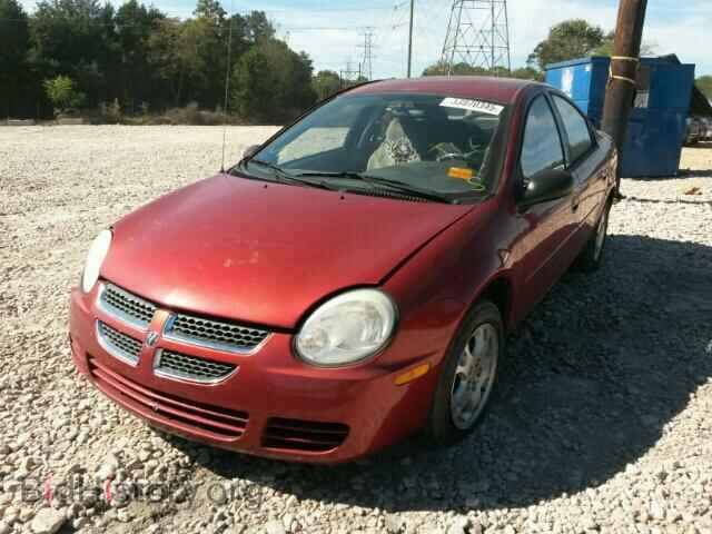 2004 DODGE NEON - VIN: 1B3ES56CX4D544598 - Фото 2