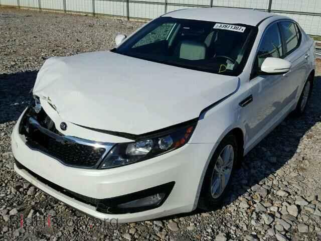 2013 KIA OPTIMA - VIN: KNAGM4A73D5373335 - Фото 2