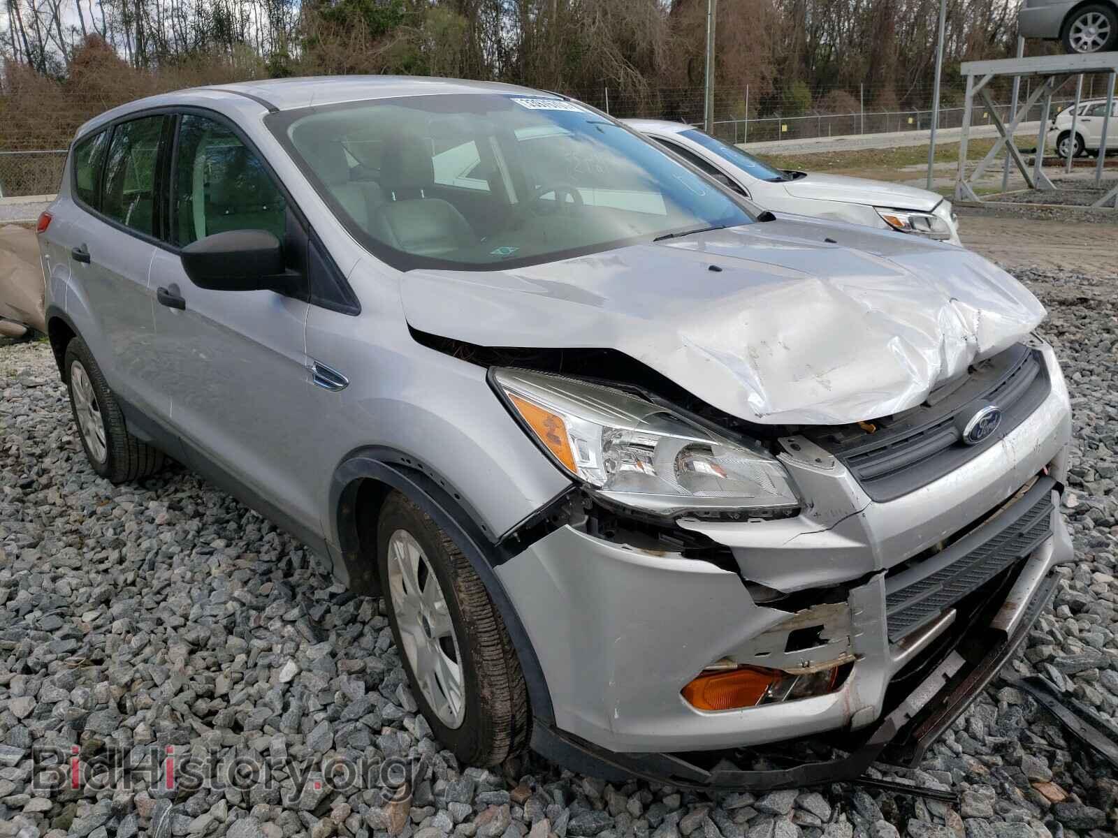 Photo 1FMCU0F74DUD91010 - FORD ESCAPE 2013